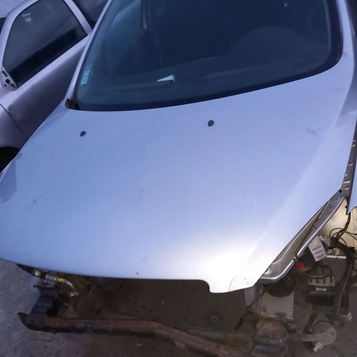 Capô Peugeot 307 ano 2003