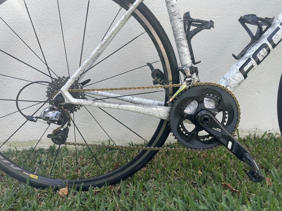 Focus cayo (tamanho S)