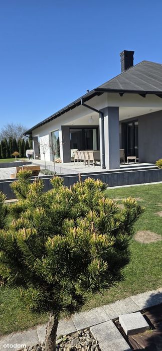 Dom 204M2 W Pełni Wyposażony,Działka 20 Arów,Pompa Ciepła,Prywatność