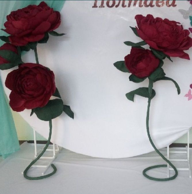 Ростові квіти для декору