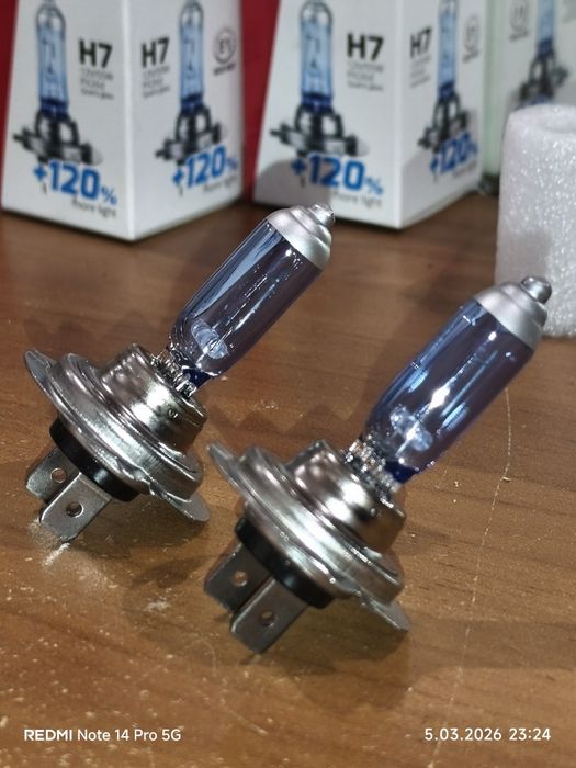 Żarówki halogenowe H7 Amio 4300K LumiTec polski producent żarówek H7