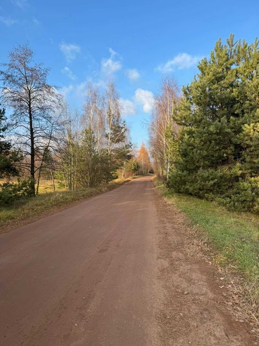 Земельна ділянка, с. Туринка