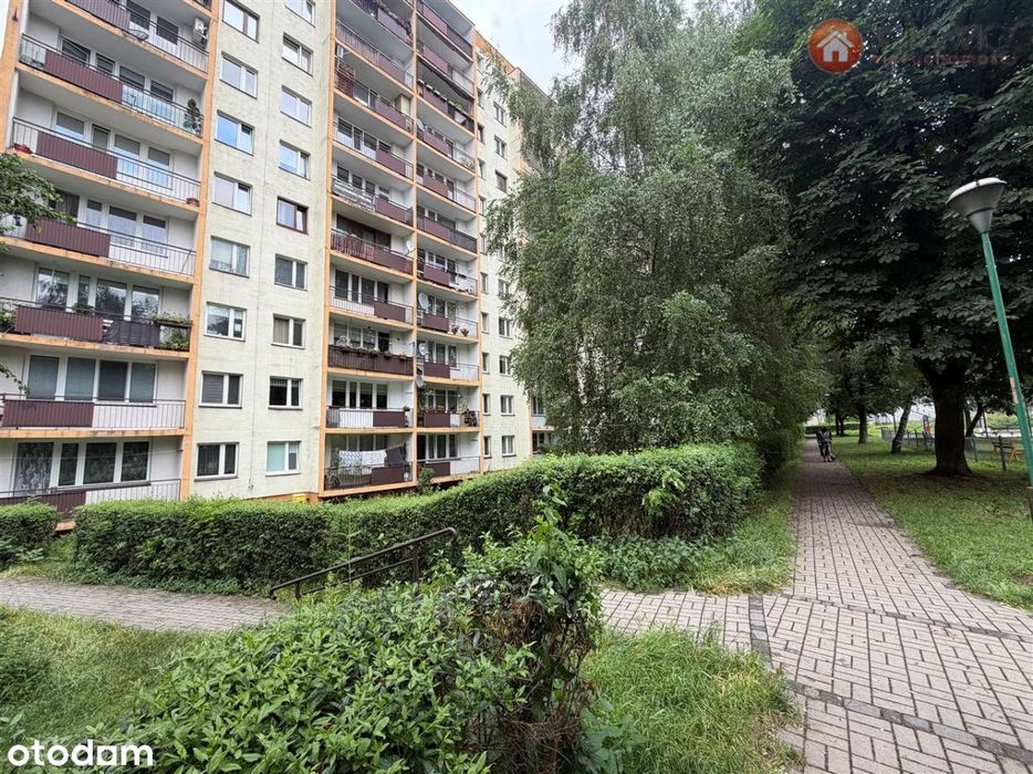 3 pokoje w centrum Bielska