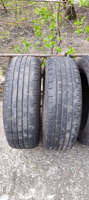 Шини (Покришки) Premiorri Solazo S Plus 185/65/15