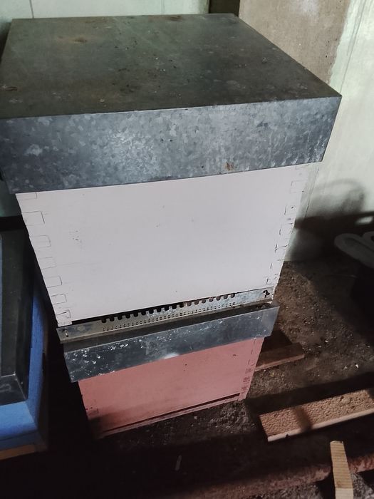 Vendo lusitanas e Lanhstrot