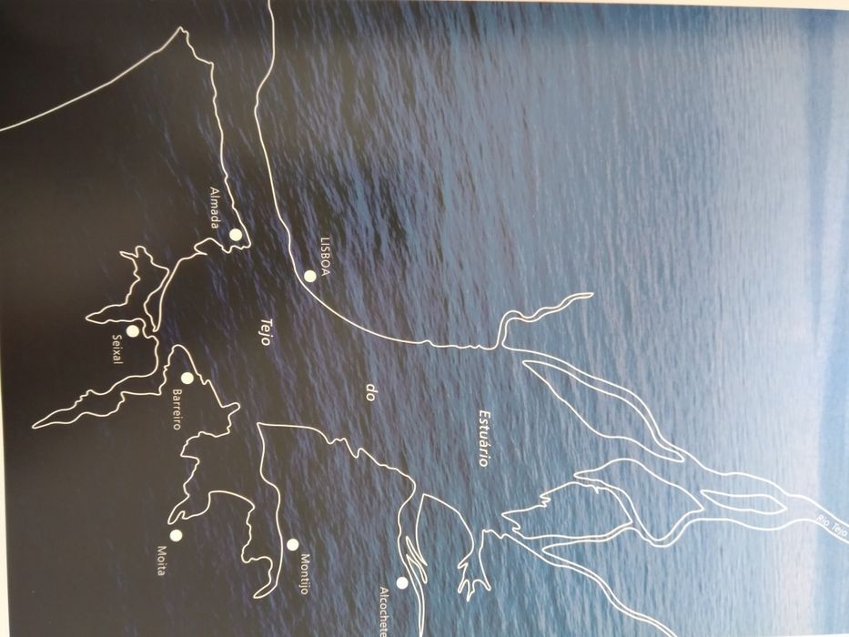 O Tejo do Estuário
