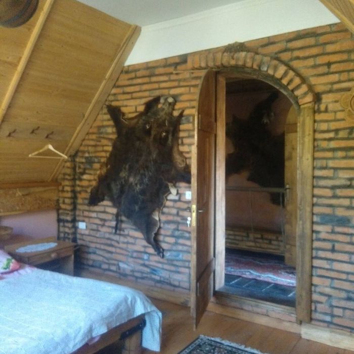 Відпочинок в Садибі Каштан Шаян