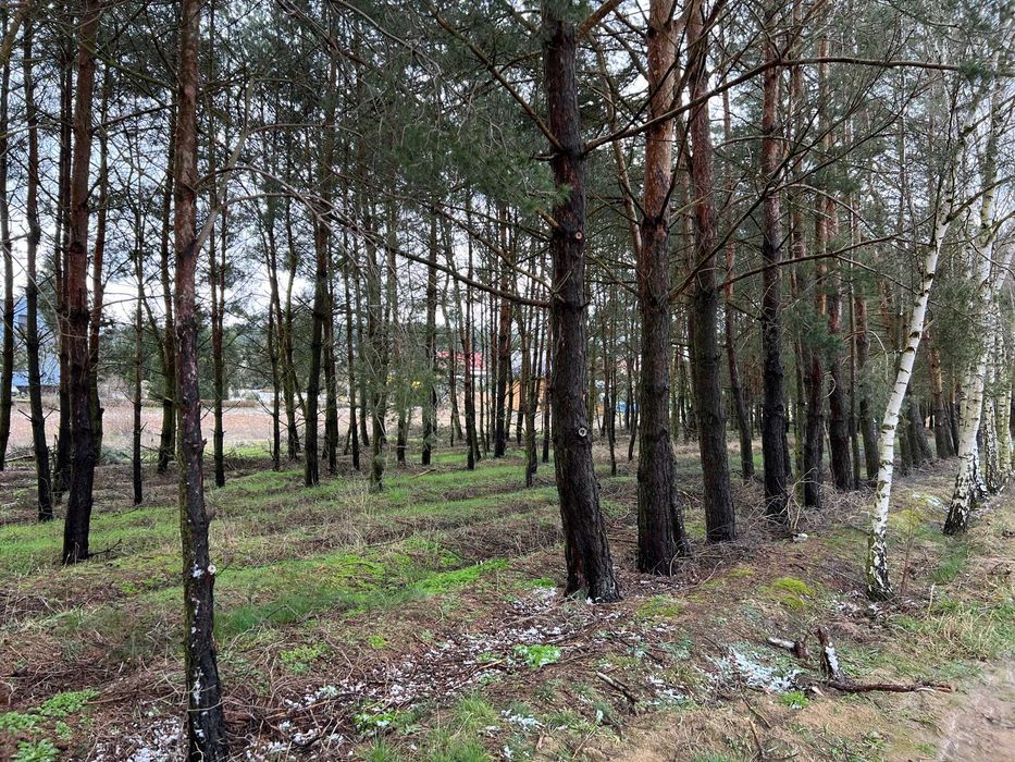 Atrakcyjna działka Osłonin