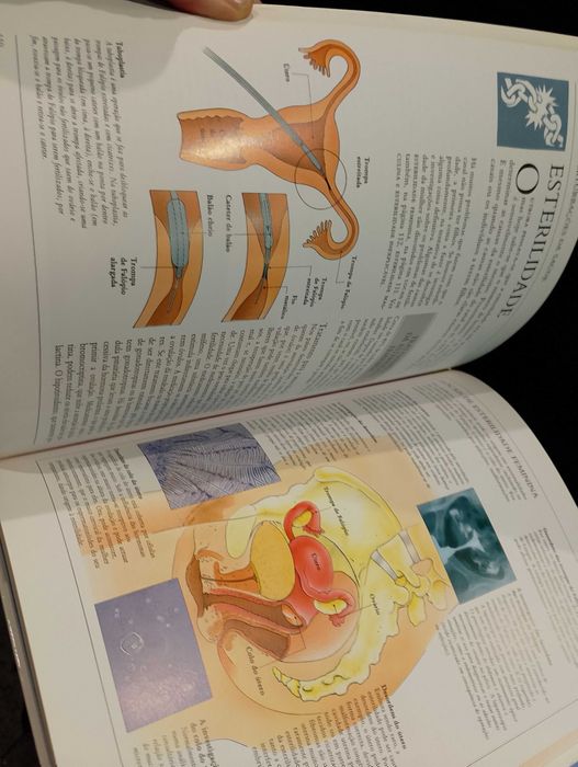 A Saúde da mulher - Biblioteca Médica da Família