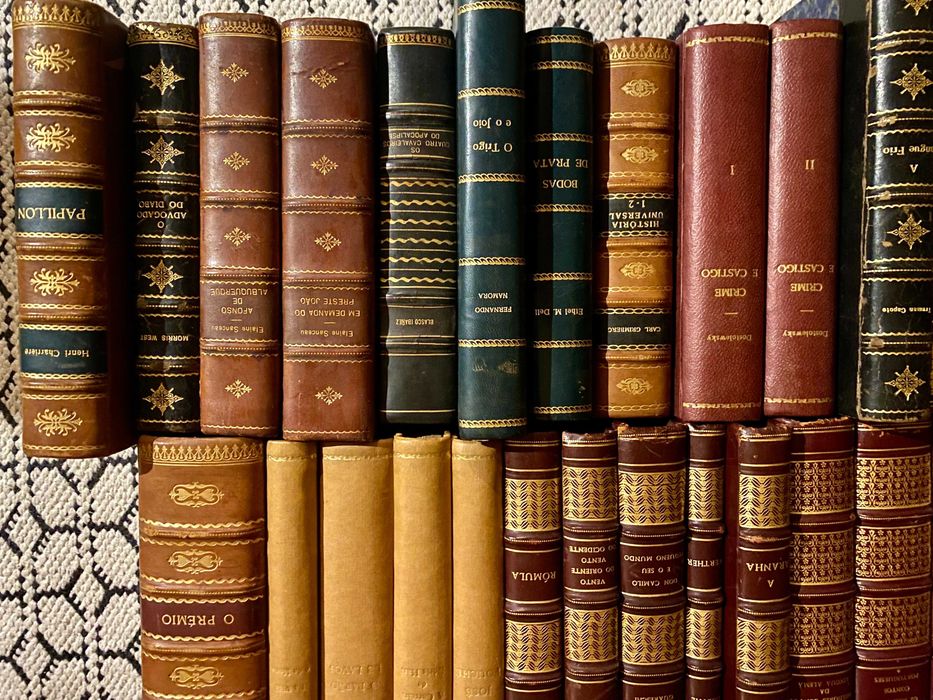 Lote livros antigos literatura - raridades