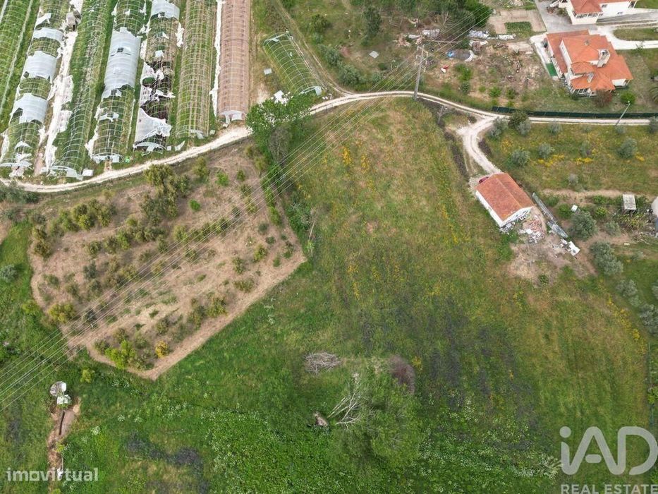 Terreno Agrícola em Porto de Mós - São João Baptista e São Pedro
