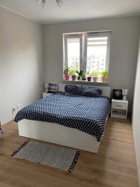 mieszkanie do wynajecia