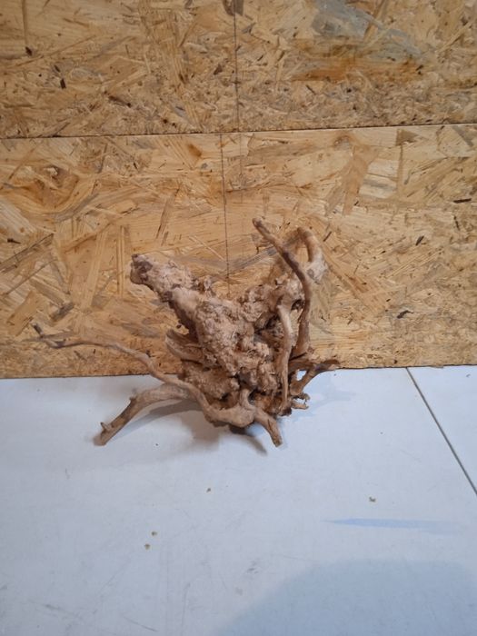 Korzeń do akwarium Red Moore Wood nr 162 o wymiarach 21/12/24