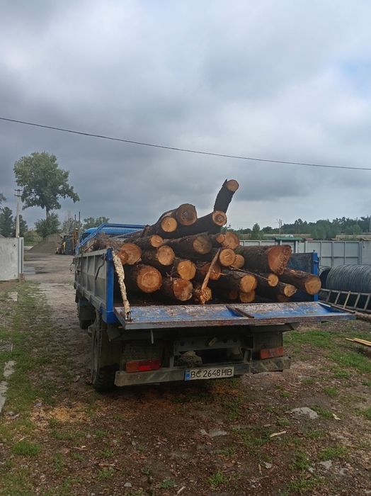 Дрова сухі сосна, осика