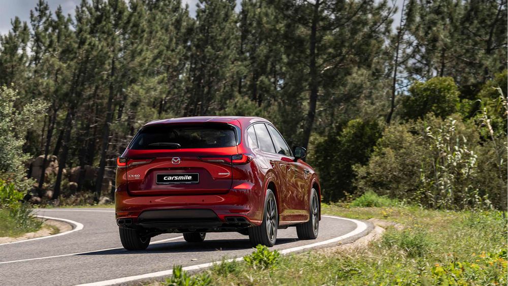 Zdjecie w galerii numer 2