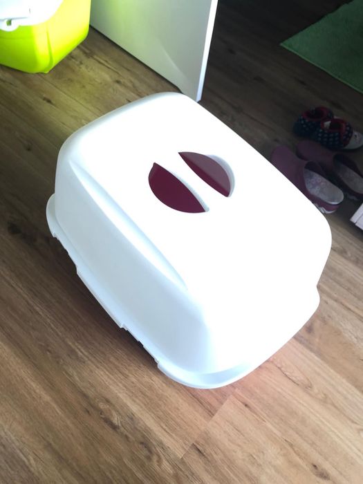 Caixas de areia para gato