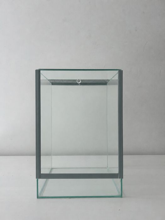 Terrarium pionowe szklane dla patyczaków, straszyków lub gekona – Stan bdb!