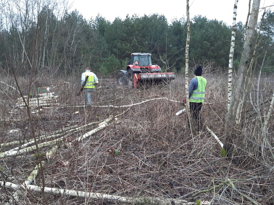 mulczowanie MULCZER leśny WGŁĘBNY czyszczenie działek wycinka drzew