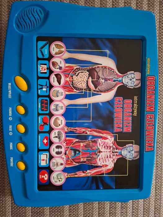 Interaktywny organizm człowieka