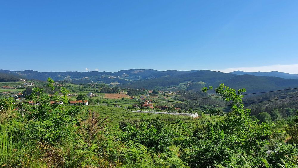 Terreno  para construção, com 2147 m2, em Telões - Amarante