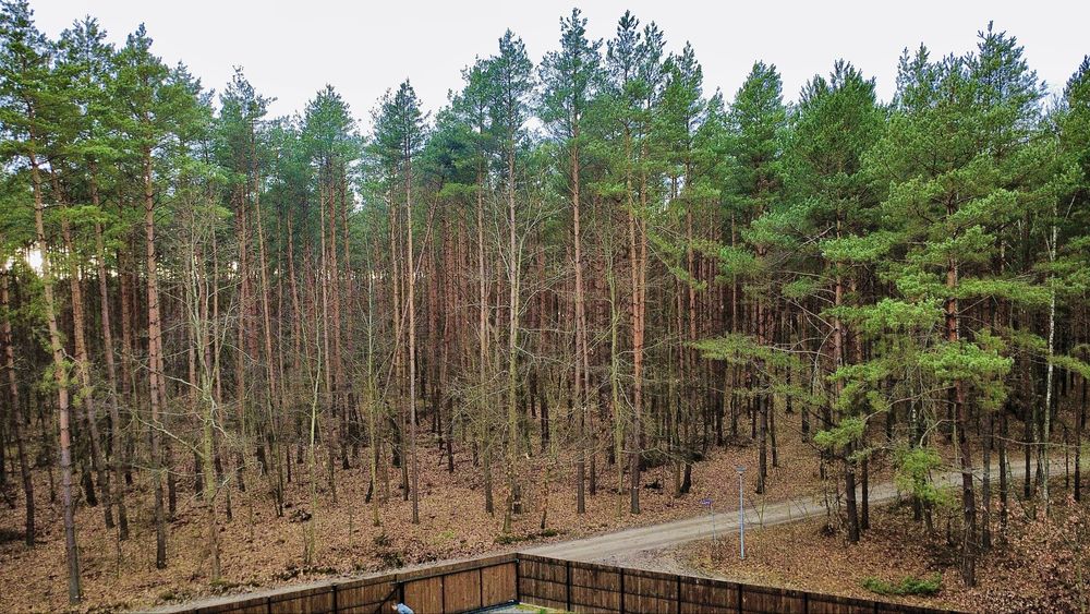 Willa Abra Cadabra z dużym Jacuzzi, plac zabaw dla dzieci i parking