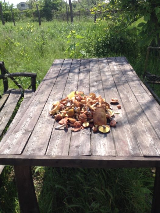 Загородный дом со всеми удобствами у реки и леса.80кв.м. Китай-город