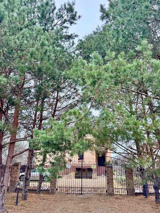 Шикарний будинок з підвалом та автономністю Морозівка Бориспіль