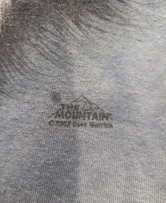 Винтаж Мерч футболка rock biker metal The Mountain Wolf L(XL) 2002г