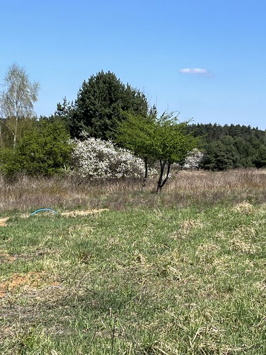Działki budowlane uzbrojone Dąbrowa Górnicza