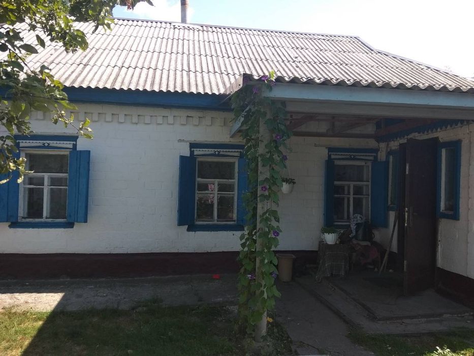 Будинок цегляний з присадибною ділянкою