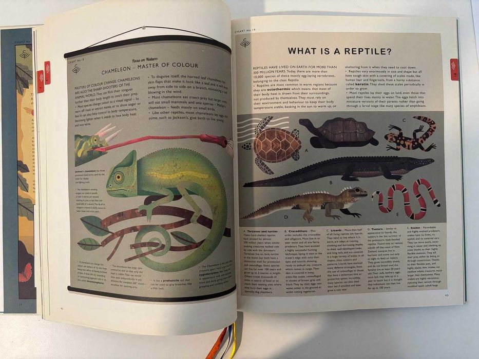 Livro Curiositree: Natural World A Visual Compendium of Wonders from Nature