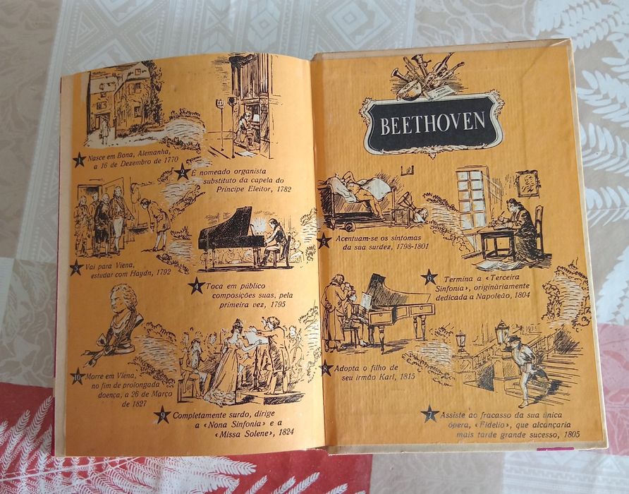 Livro Beethoven antigo