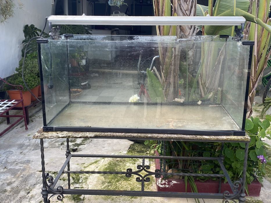 Aquario de 400 litros para desocupar