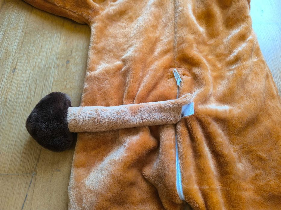 Máscara de Leão de Carnaval