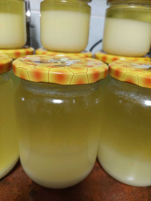 Натуральний борсучий жир | Домашнє виготовлення | Висока якість