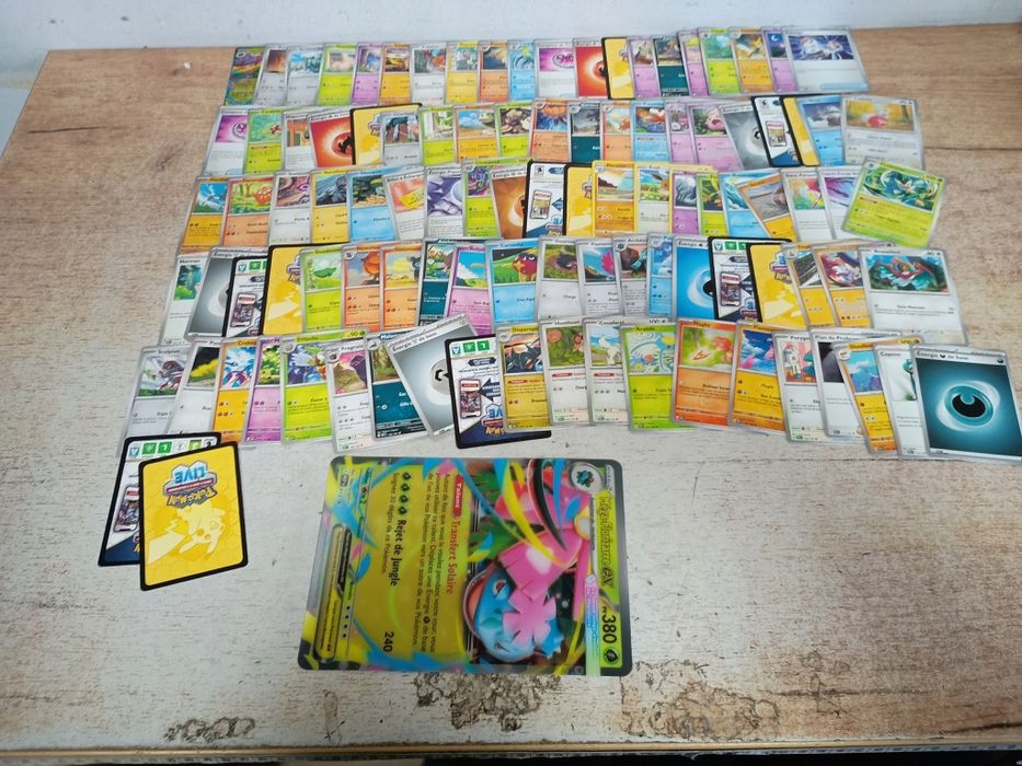 Pokémon Mega-Florizarre-ex karty