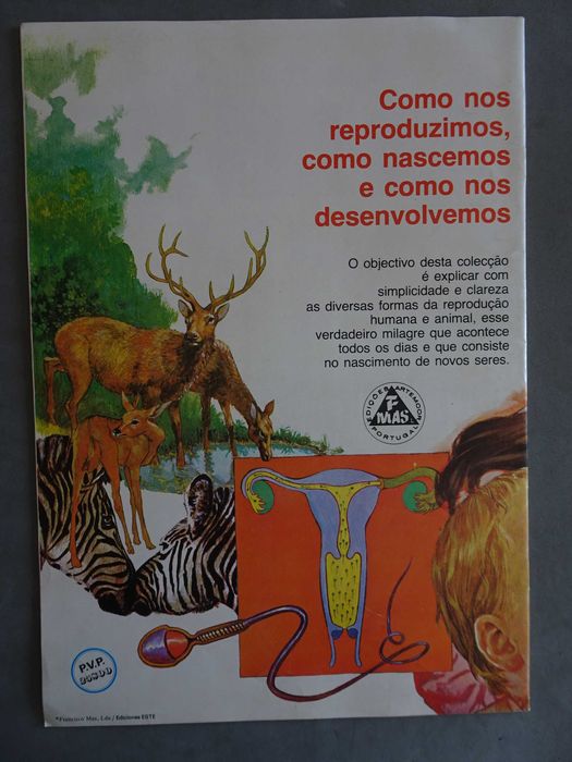 Caderneta de cromos A Origem da Vida (tem 6 cromos)
