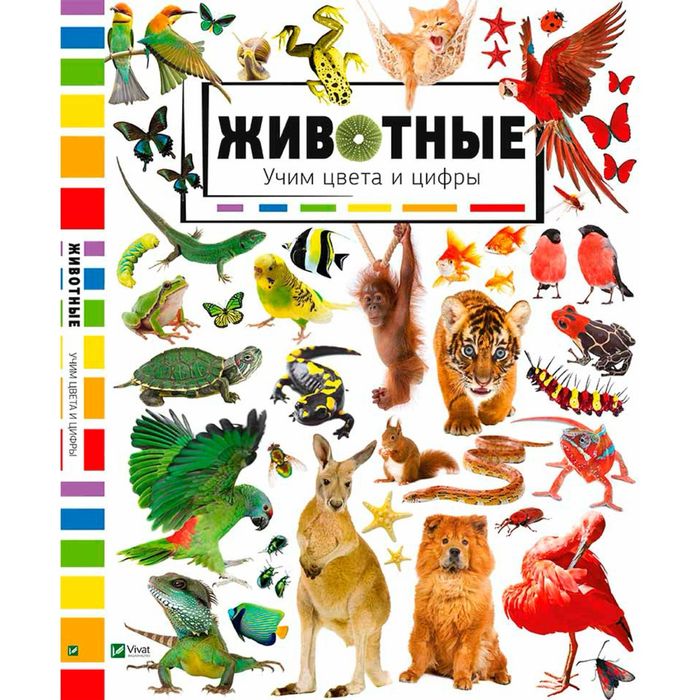 книга Животные учим цвета и цифры