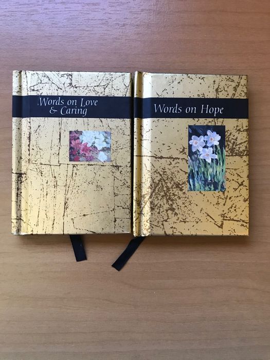 Livros de bolso em inglês-2 itens