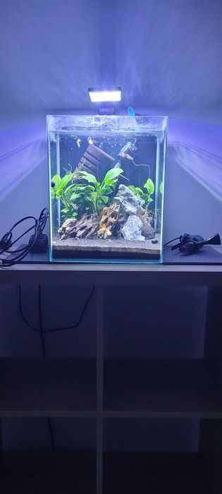 Aquael Shrimp Set 30L Czarny Day/Night 29x29x35cm