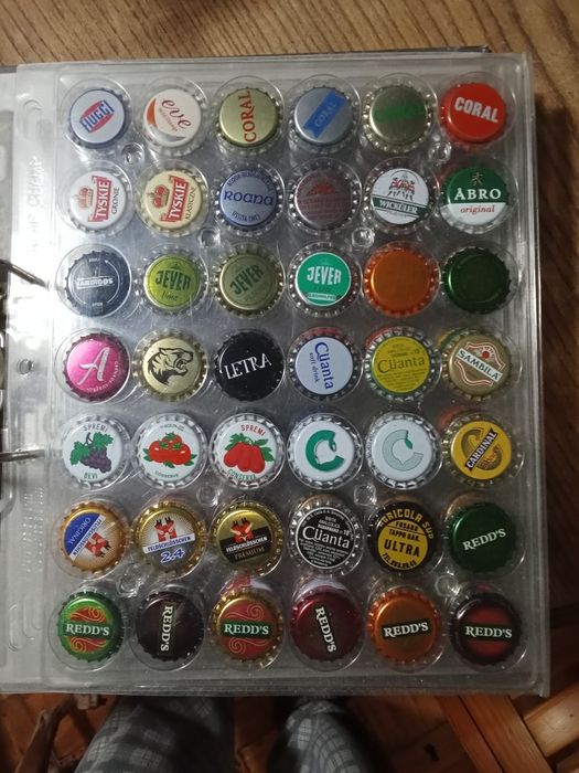 Lote de diversas sameiras