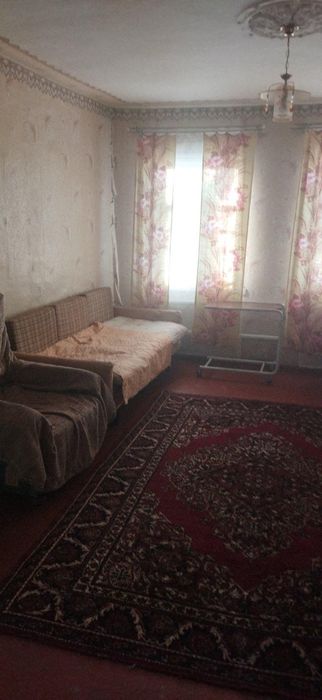 С. ВОРОНИНЦІ, Будинок  біля   Дніпра, з Газом та пічним опаленням