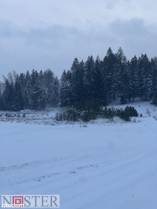 bud uzbrojona działka pod lasem z widokiem