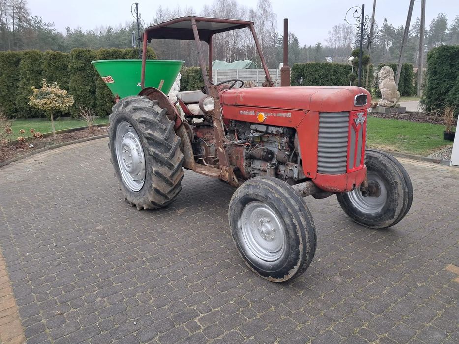 Massey Ferguson 65 L.C  Massey Ferguson 65 koni. Nie john deere, volvo, ursus, zetor, fendt.