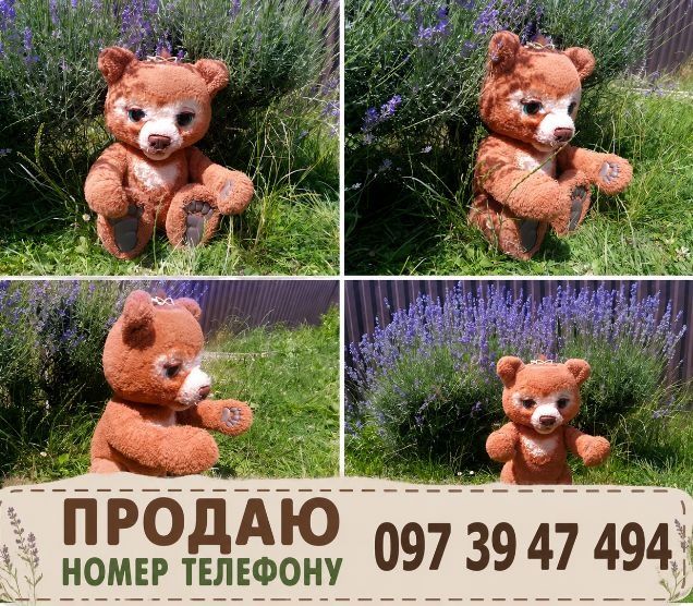 Інтерактивний ведмедик кабі