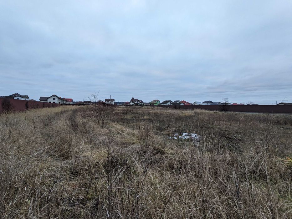 Зем. ділянка 40 сот. під комерцію Старі Кривотули (4)