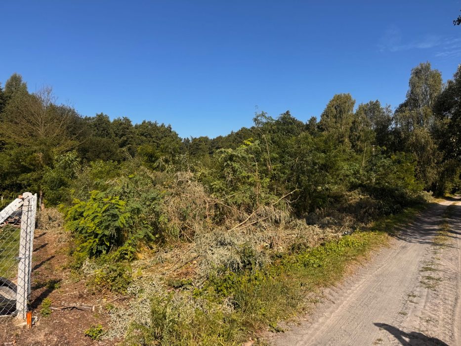 Mulczer czyszczenie działek