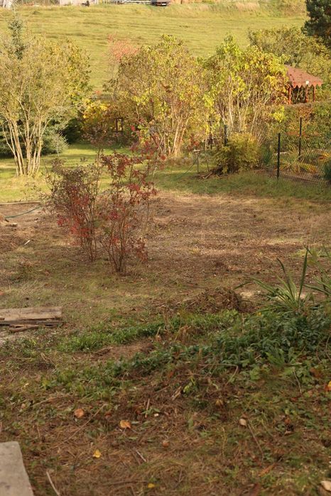 Działka ROD Oaza Uniszowice, pięknie położona, duża 500 m² z domkiem drewnianym, prąd, woda - Widok 4
