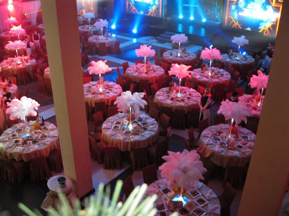 Аренда, продажа перьев страуса