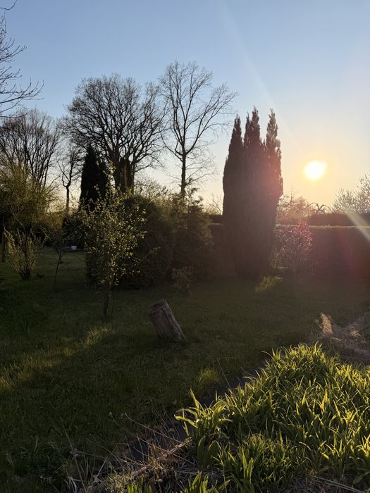 Sprzedam ogródek dzialkowy